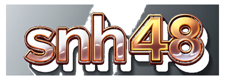 snh48 logo